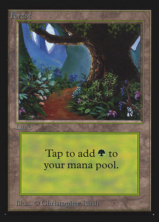Forest (Flower Path) [International Collectors' Edition] | Good Games Cannington
