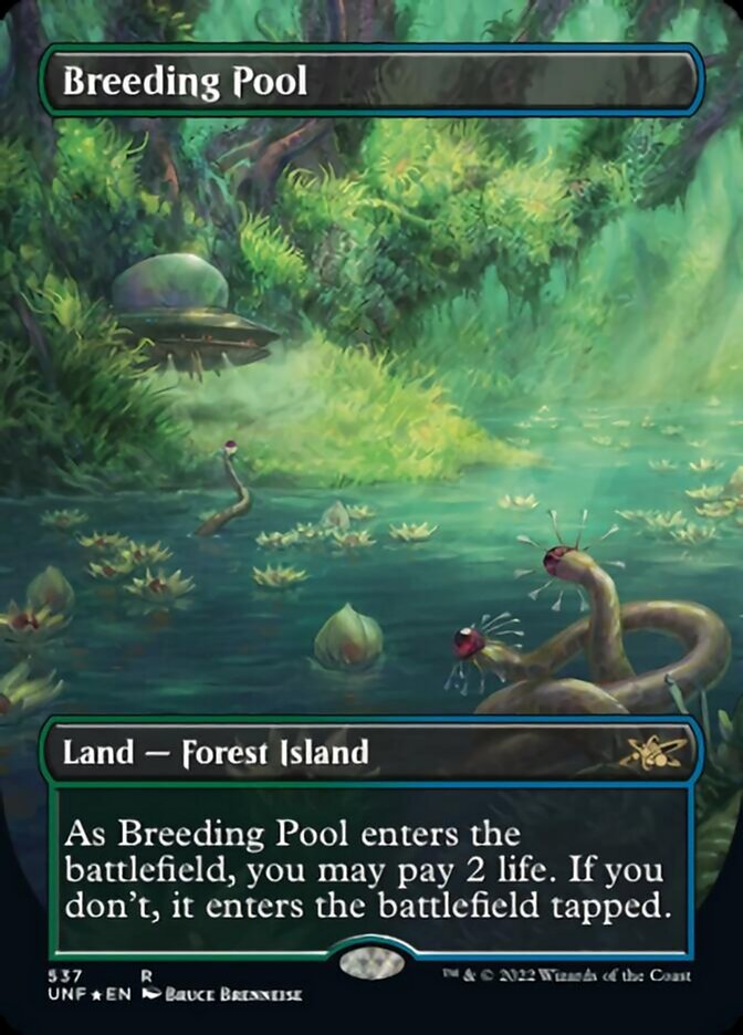 Breeding Pool (Borderless) (Galaxy Foil) [Unfinity] | Good Games Cannington