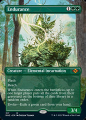 Endurance (Borderless Alternate Art) [Modern Horizons 2] | Good Games Cannington