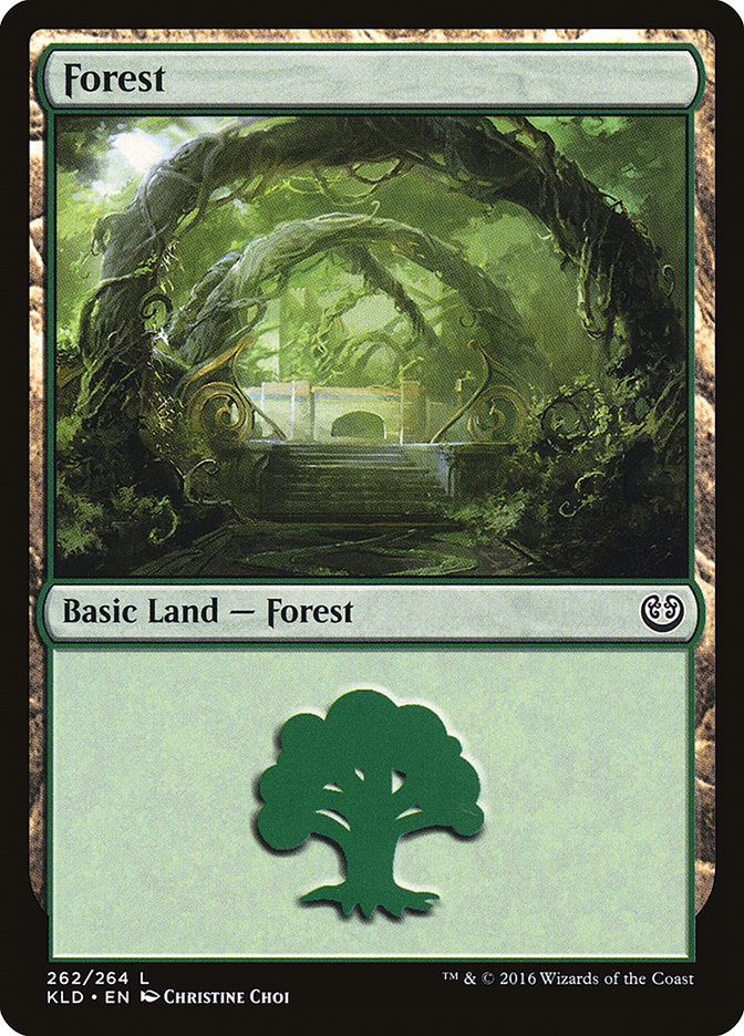 Forest (262) [Kaladesh] | Good Games Cannington