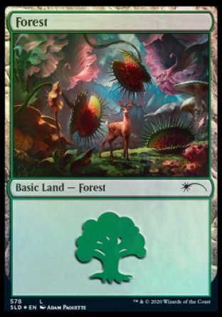 Forest (Predatory) (578) [Secret Lair Drop Promos] | Good Games Cannington