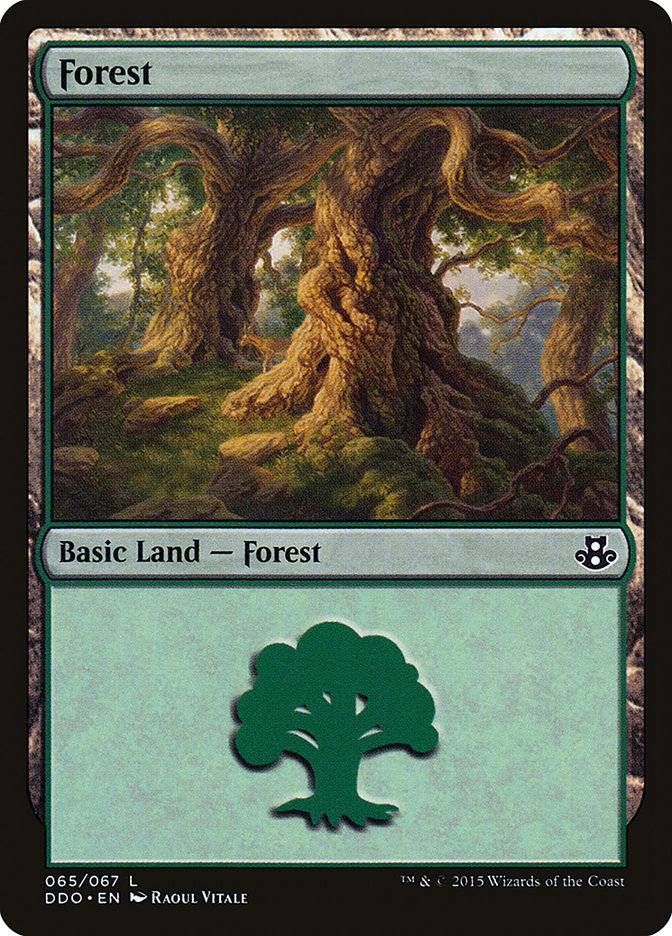 Forest (65) [Duel Decks: Elspeth vs. Kiora] | Good Games Cannington