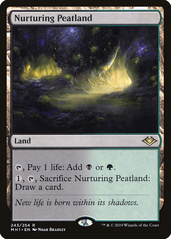 Nurturing Peatland 243/254 (Modern Horizons)  | Good Games Cannington