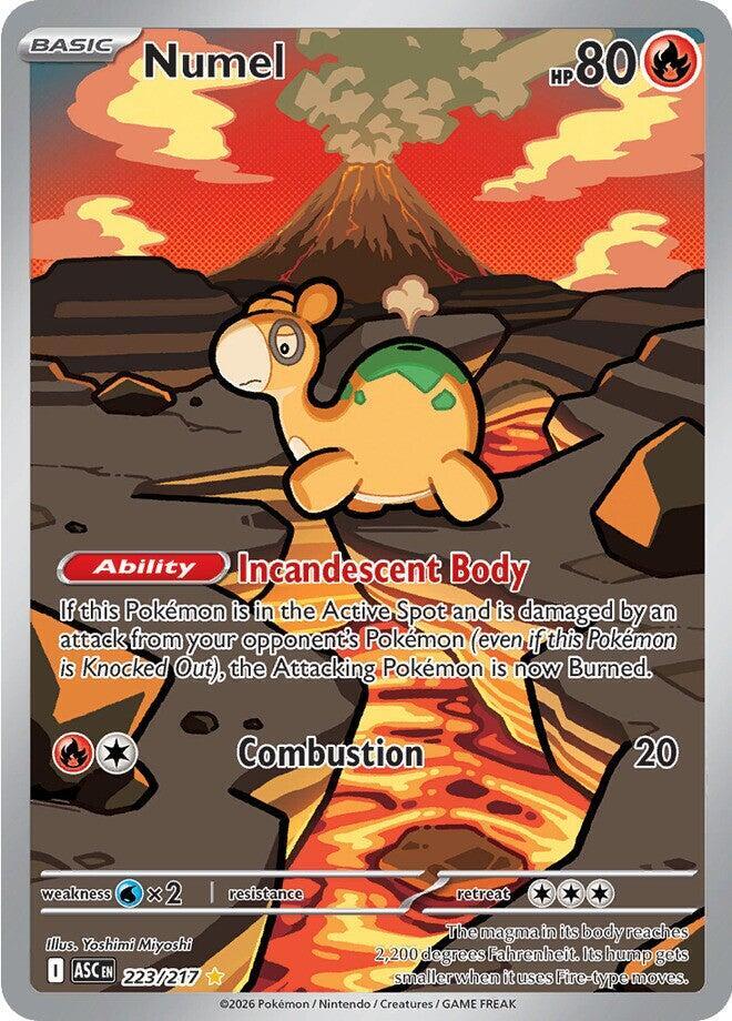 Numel 223/217 (ME: Ascended Heroes)  - Holofoil | Good Games Cannington