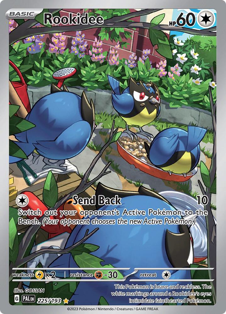 Rookidee 225/193 (SV02: Paldea Evolved)  - Holofoil | Good Games Cannington