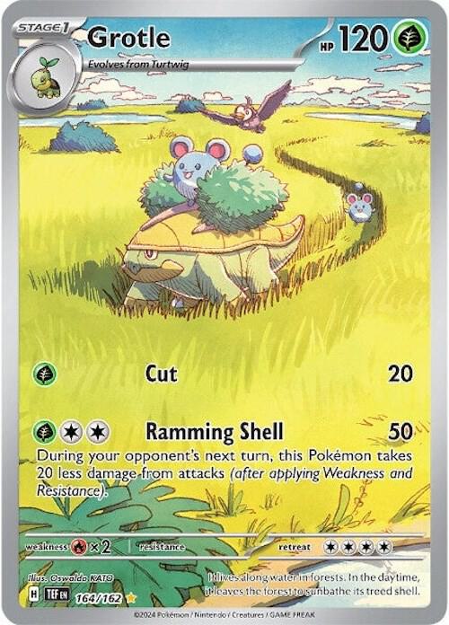 Grotle 164/162 (SV05: Temporal Forces)  - Holofoil | Good Games Cannington