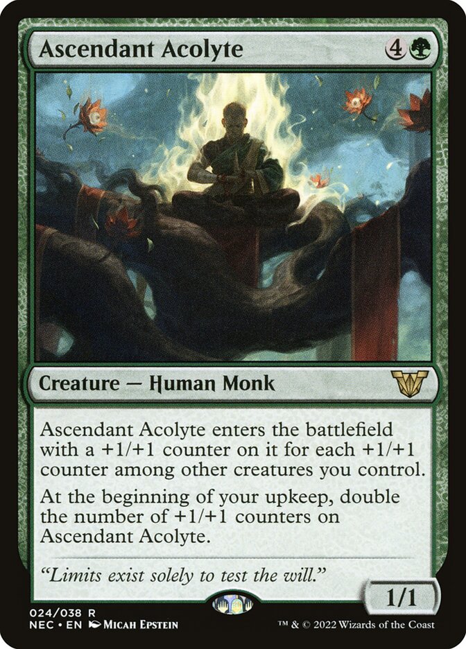 Ascendant Acolyte 24/38 (Commander: Kamigawa: Neon Dynasty)  | Good Games Cannington