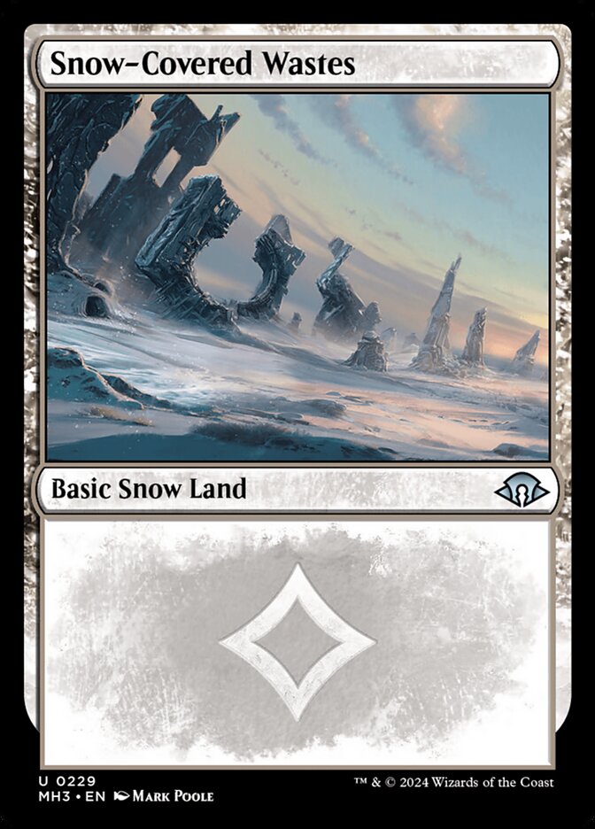 Snow-Covered Wastes 229/319 (Modern Horizons 3)  - Foil | Good Games Cannington