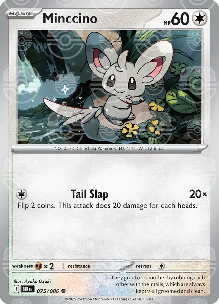 Minccino 075/086 (SV: Black Bolt)  - Master Ball Holofoil | Good Games Cannington
