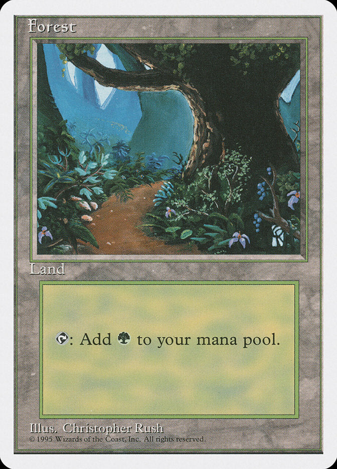 Forest (Flower Path) [Fourth Edition] | Good Games Cannington