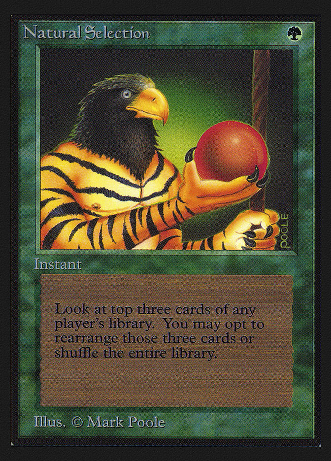 Natural Selection [International Collectors' Edition] | Good Games Cannington