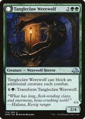 Tangleclaw Werewolf // Fibrous Entangler [Eldritch Moon] | Good Games Cannington