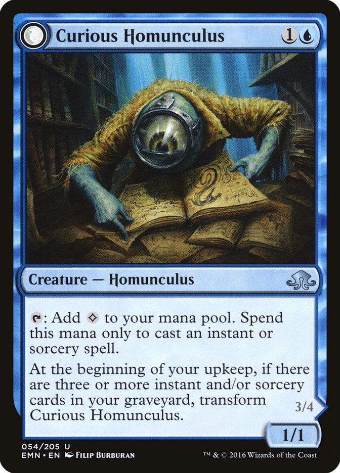 Curious Homunculus // Voracious Reader [Eldritch Moon] | Good Games Cannington