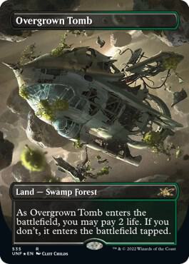 Overgrown Tomb Borderless Galaxy Foil 535 (Unfinity)  - Foil | Good Games Cannington