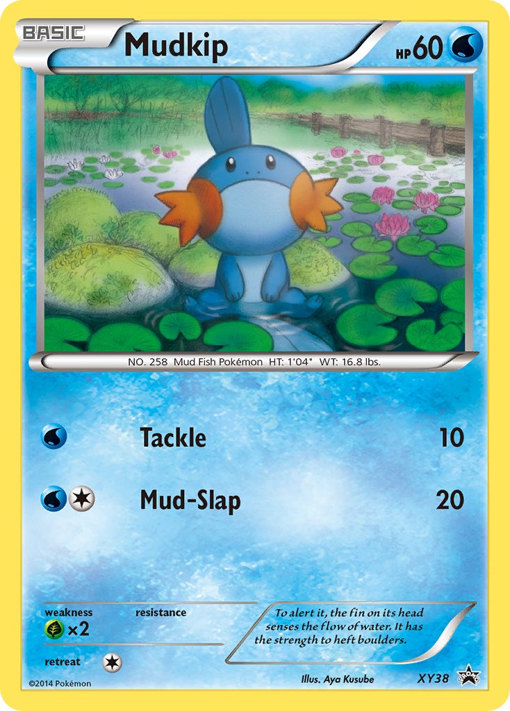 Mudkip (XY38) [XY: Black Star Promos] | Good Games Cannington