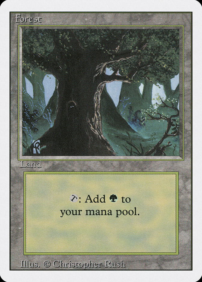 Forest (Eyes in Tree) [Revised Edition] | Good Games Cannington
