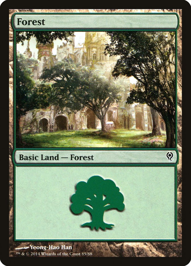 Forest (85) [Duel Decks: Jace vs. Vraska] | Good Games Cannington