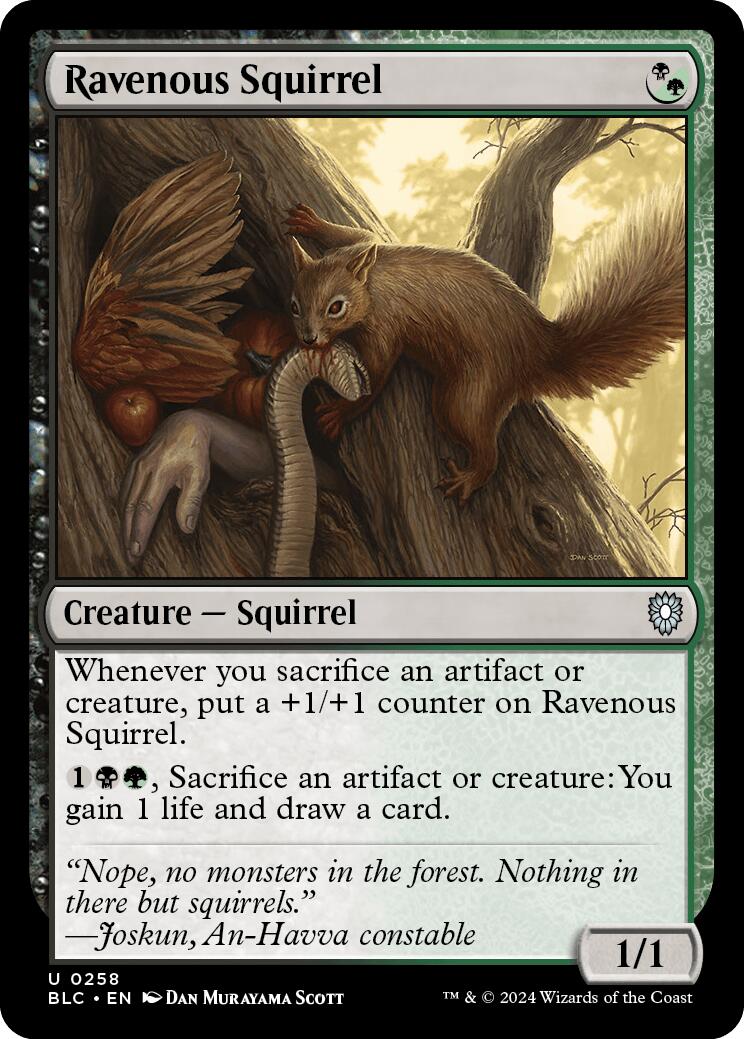 Ravenous Squirrel [Bloomburrow Commander] | Good Games Cannington