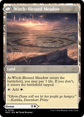 Witch Enchanter // Witch-Blessed Meadow [Modern Horizons 3] | Good Games Cannington