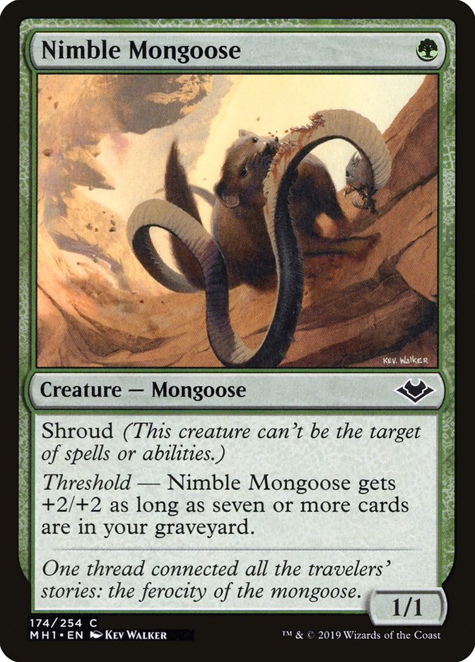 Nimble Mongoose 174 (Modern Horizons)  | Good Games Cannington