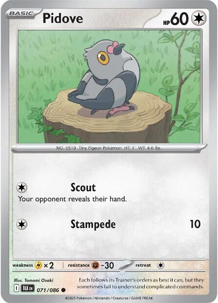 Pidove (071/086) [Scarlet & Violet: Black Bolt] | Good Games Cannington