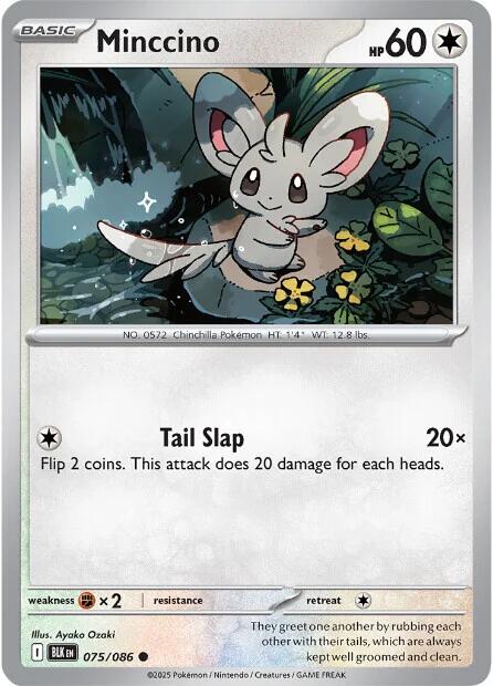 Minccino (075/086) [Scarlet & Violet: Black Bolt] | Good Games Cannington