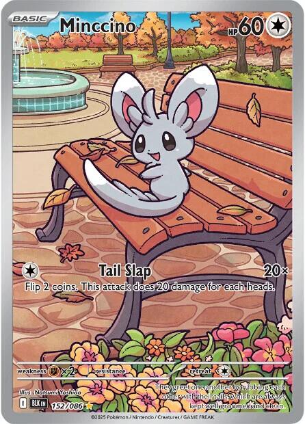 Minccino (152/086) [Scarlet & Violet: Black Bolt] | Good Games Cannington