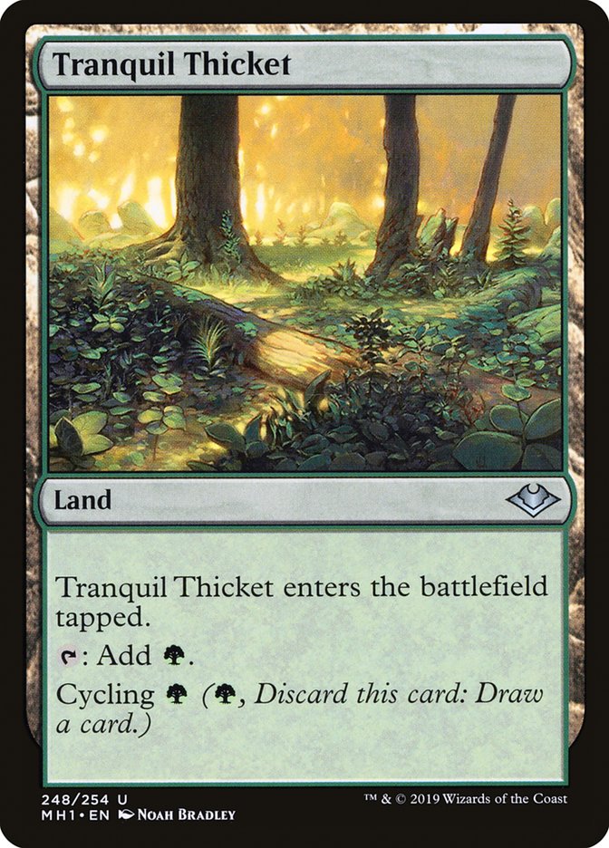 Tranquil Thicket [Modern Horizons] | Good Games Cannington