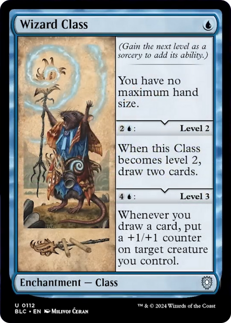 Wizard Class [Bloomburrow Commander] | Good Games Cannington