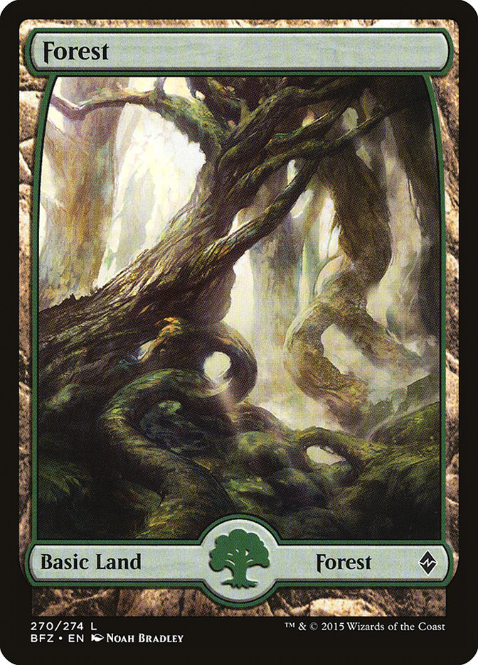 Forest (270) (Full Art) [Battle for Zendikar] | Good Games Cannington