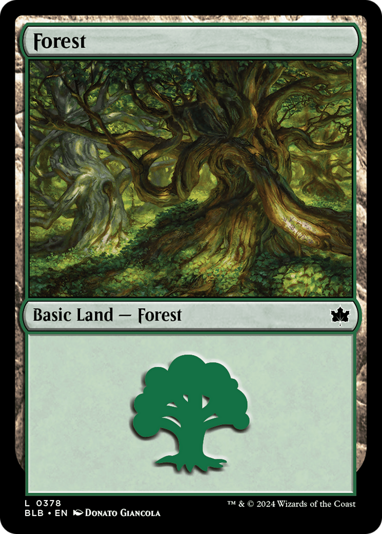 Forest (0378) [Bloomburrow] | Good Games Cannington