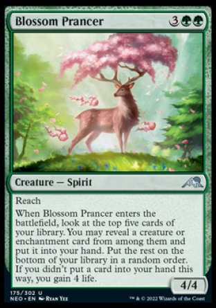 Blossom Prancer [The List] | Good Games Cannington