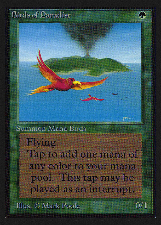 Birds of Paradise [International Collectors' Edition] | Good Games Cannington