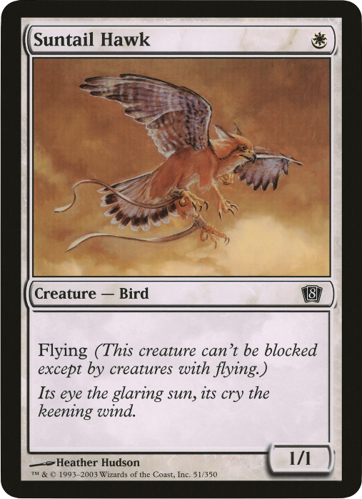 Suntail Hawk (Oversized) [Eighth Edition Box Topper] | Good Games Cannington