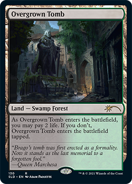 Overgrown Tomb [Secret Lair Drop Series] | Good Games Cannington