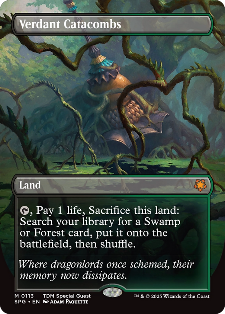 Verdant Catacombs (Borderless) [Tarkir: Dragonstorm Special Guests] | Good Games Cannington