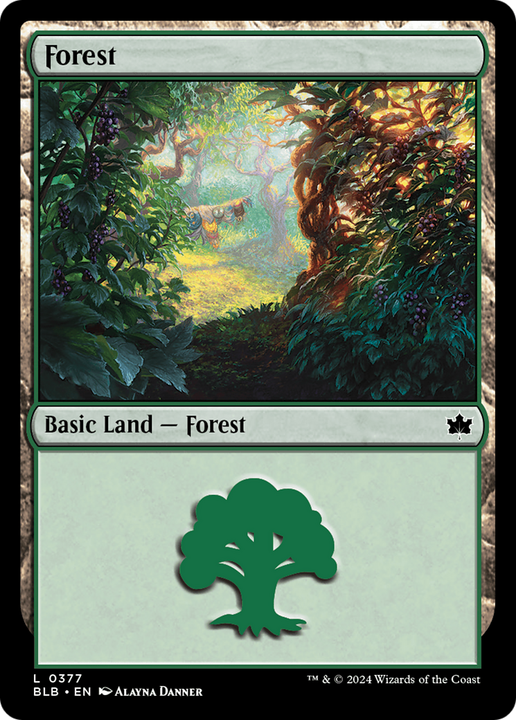 Forest (0377) [Bloomburrow] | Good Games Cannington