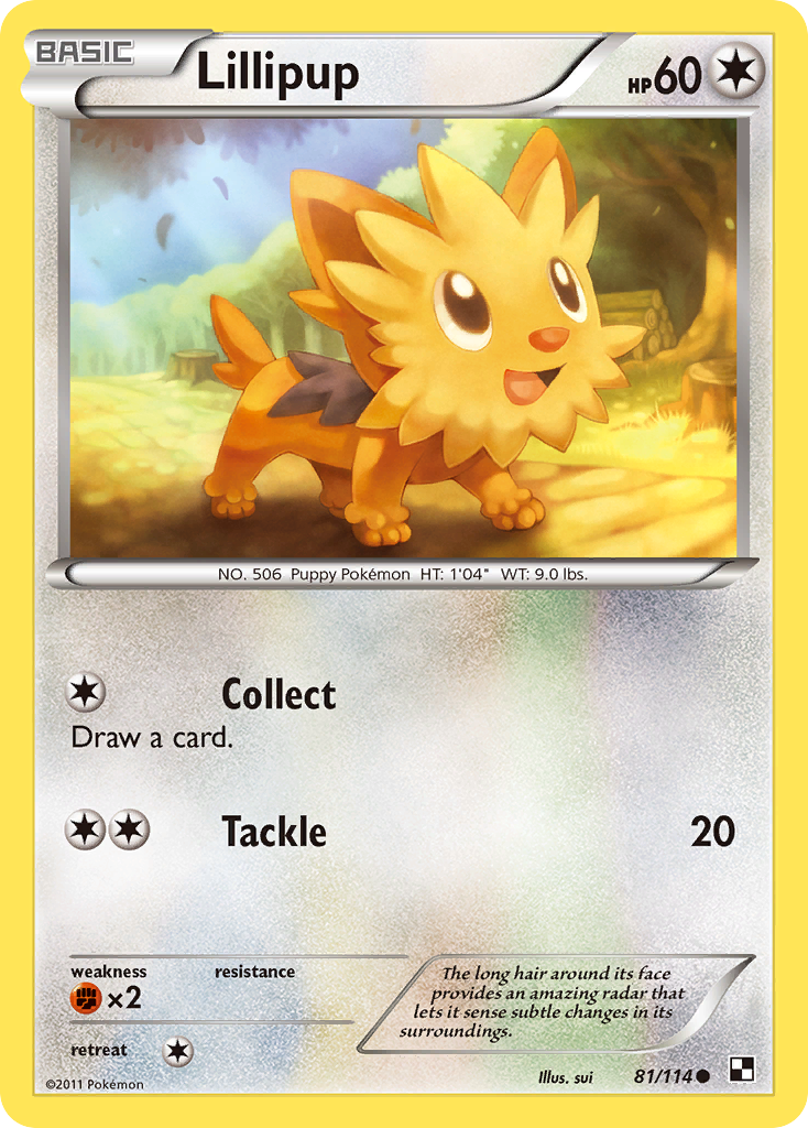 Lillipup (81/114) [Black & White: Base Set] | Good Games Cannington