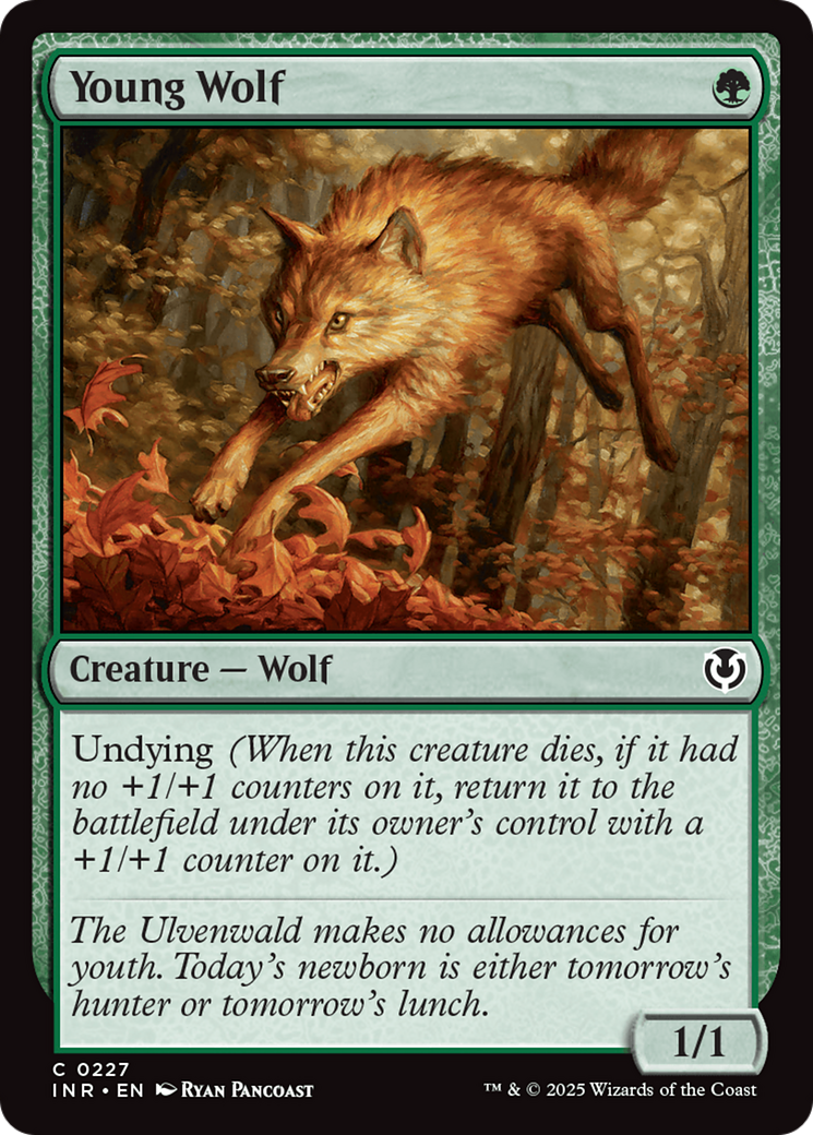 Young Wolf [Innistrad Remastered] | Good Games Cannington