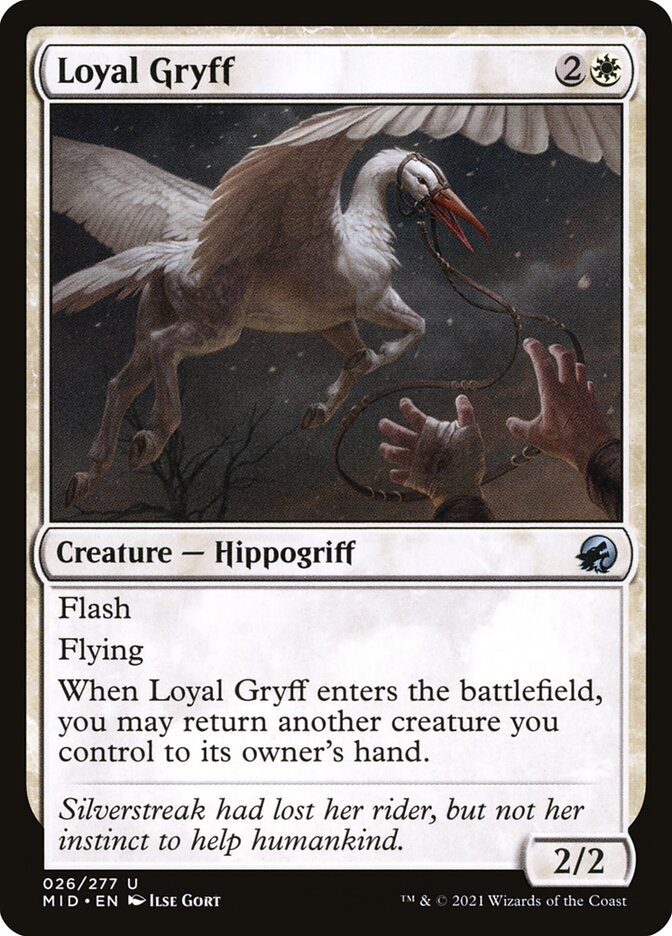 Loyal Gryff 26/277 (Innistrad: Midnight Hunt)  | Good Games Cannington