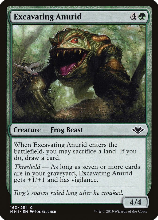 Excavating Anurid [Modern Horizons] | Good Games Cannington