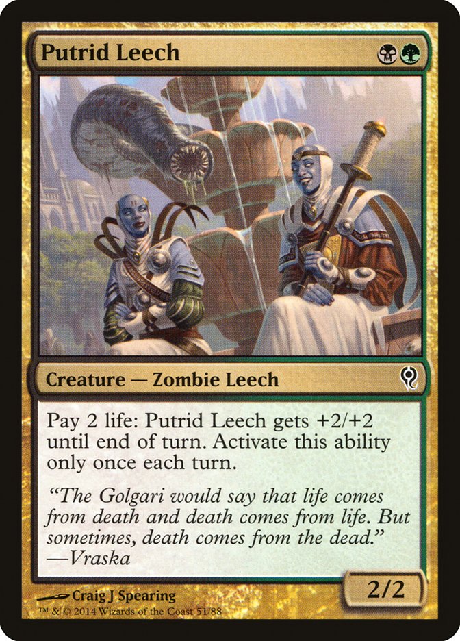 Putrid Leech [Duel Decks: Jace vs. Vraska] | Good Games Cannington