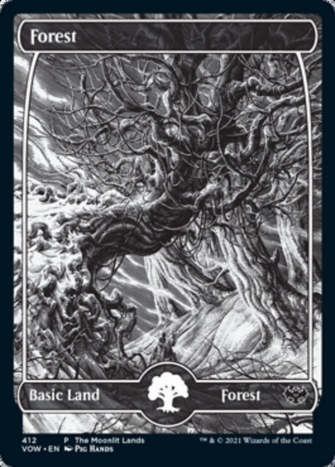 Forest (The Moonlit Lands) (Foil Etched) [Innistrad: Crimson Vow Promos] | Good Games Cannington