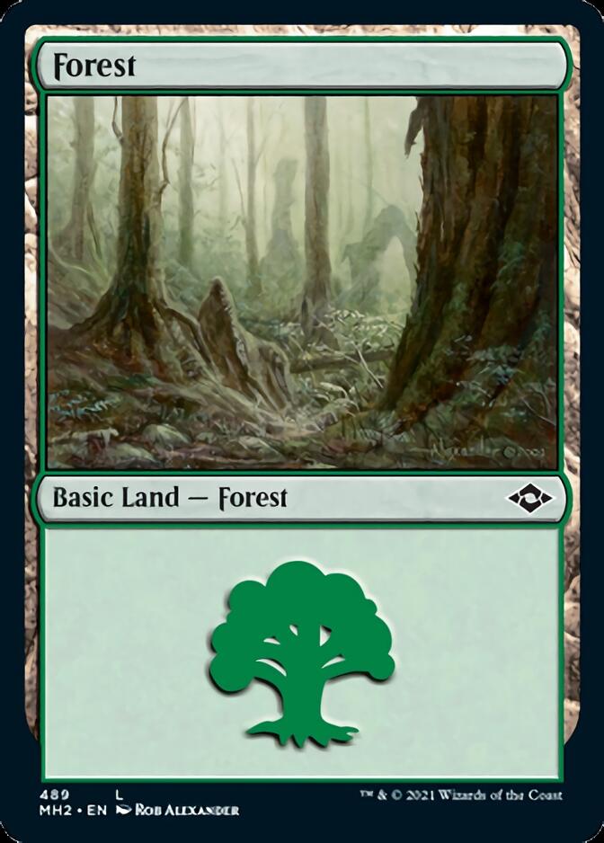 Forest (489) [Modern Horizons 2] | Good Games Cannington