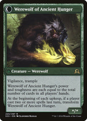 Sage of Ancient Lore // Werewolf of Ancient Hunger [Shadows over Innistrad] | Good Games Cannington