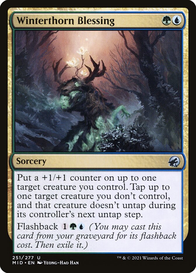 Winterthorn Blessing 251 (Innistrad: Midnight Hunt)  | Good Games Cannington