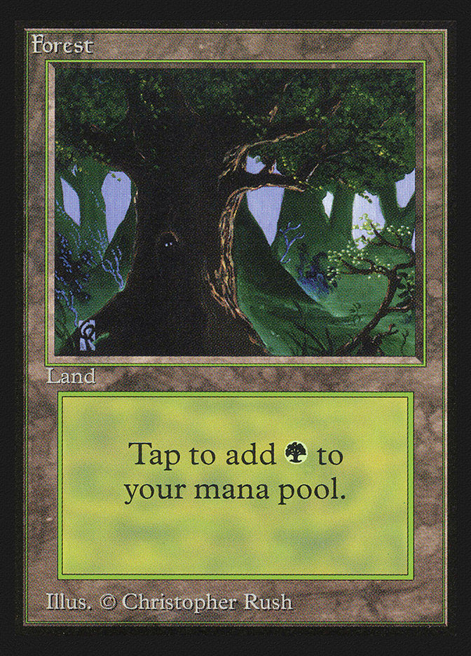 Forest (Eyes in Tree) [International Collectors' Edition] | Good Games Cannington