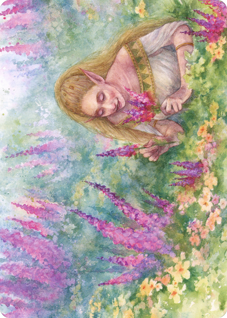 Abundant Harvest Art Card [Modern Horizons 2 Art Series] | Good Games Cannington