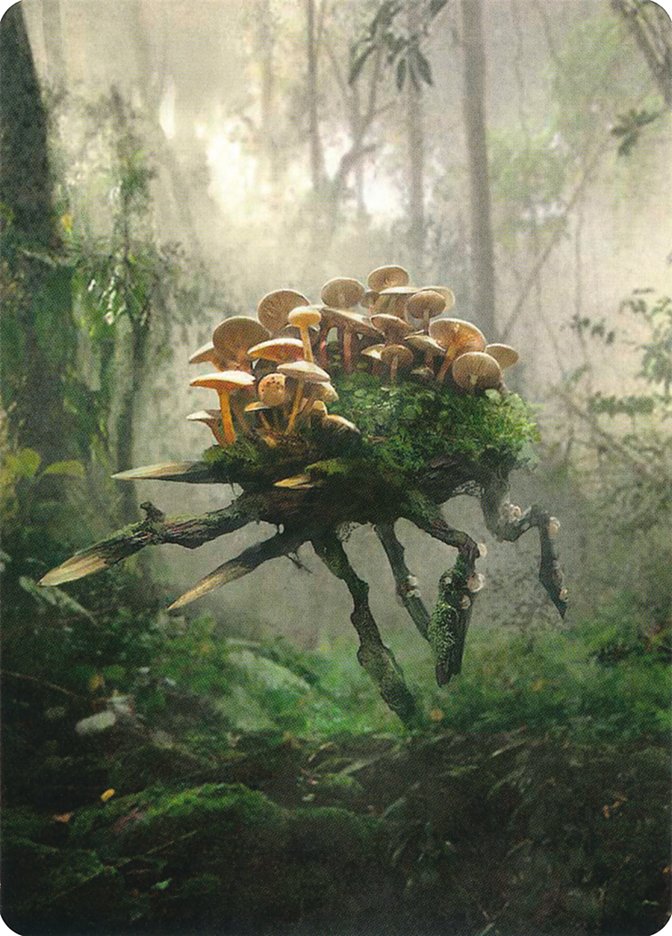 Saproling // Saproling Double-Sided Token [Unstable Tokens] | Good Games Cannington