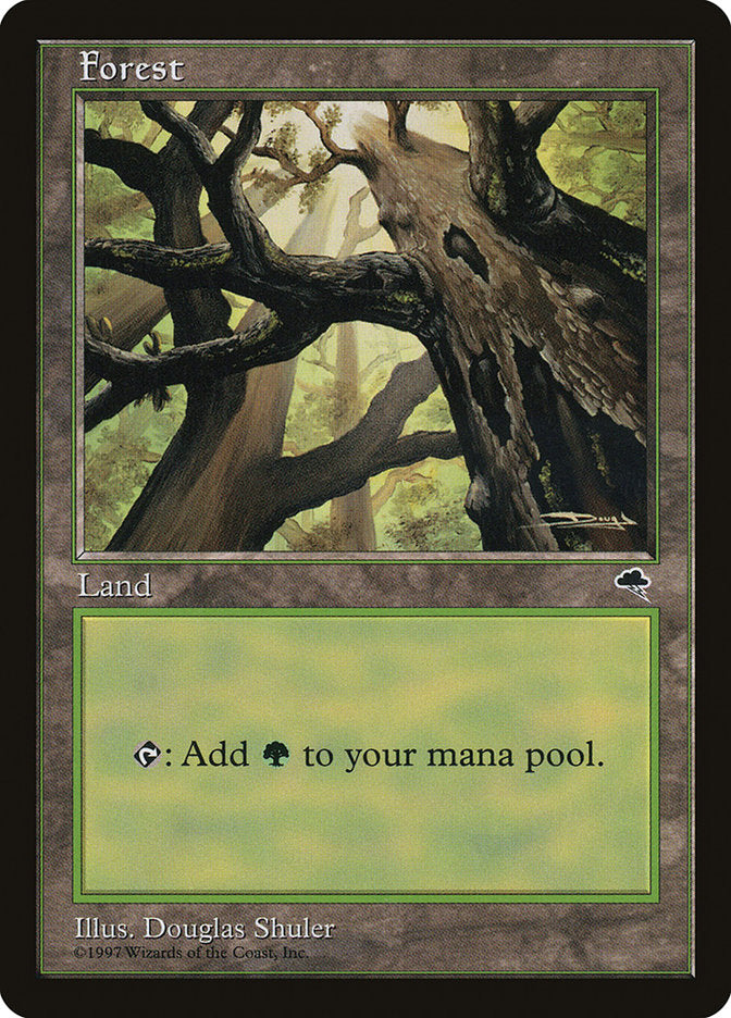 Forest (Looking from Below) [Tempest] | Good Games Cannington